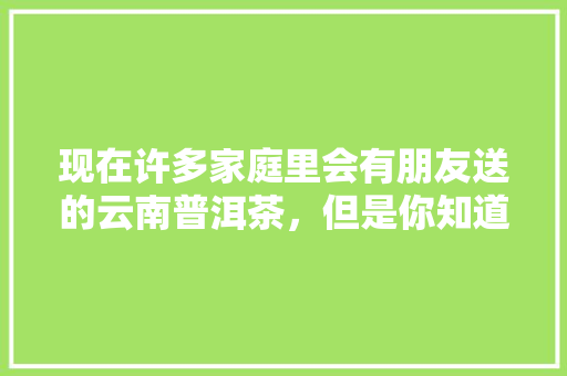 现在许多家庭里会有朋友送的云南普洱茶，但是你知道怎么存放比较好吗「云南旅游买茶饼攻略图片」 现在许多家庭里会有朋友送的云南普洱茶，但是你知道怎么存放比较好吗「云南旅游买茶饼攻略图片」 汽车常识