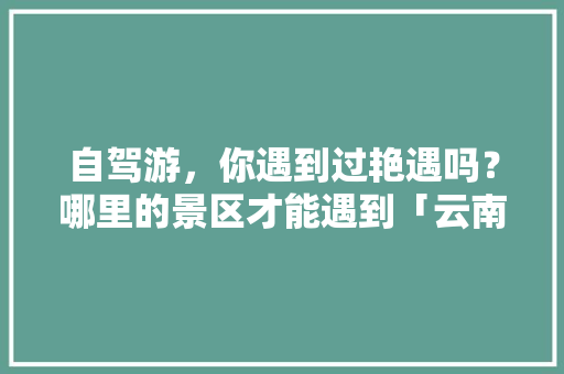 自驾游，你遇到过艳遇吗？哪里的景区才能遇到「云南旅游撩妹攻略图片」 自驾游，你遇到过艳遇吗？哪里的景区才能遇到「云南旅游撩妹攻略图片」 时尚穿搭