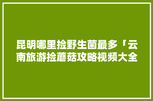 昆明哪里捡野生菌最多「云南旅游捡蘑菇攻略视频大全」 昆明哪里捡野生菌最多「云南旅游捡蘑菇攻略视频大全」 旅游攻略