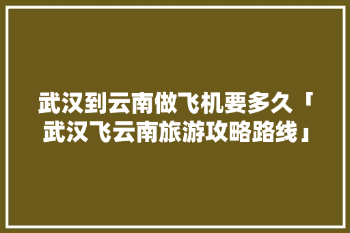 武汉到云南做飞机要多久「武汉飞云南旅游攻略路线」 武汉到云南做飞机要多久「武汉飞云南旅游攻略路线」 教育法律
