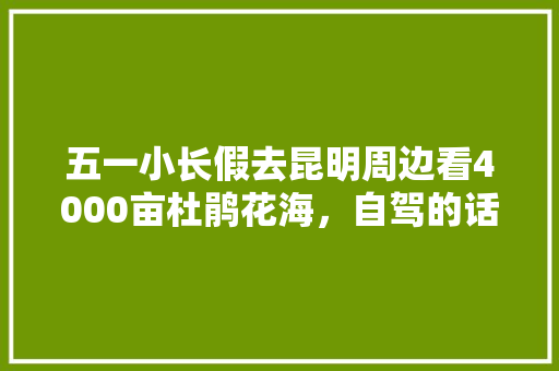 五一小长假去昆明周边看4000亩杜鹃花海，自驾的话怎么去「五月去云南旅游攻略图片」 五一小长假去昆明周边看4000亩杜鹃花海，自驾的话怎么去「五月去云南旅游攻略图片」 汽车常识
