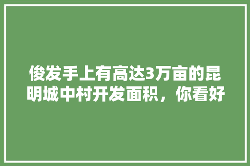 俊发手上有高达3万亩的昆明城中村开发面积，你看好吗「俊发在云南有哪些项目」 俊发手上有高达3万亩的昆明城中村开发面积，你看好吗「俊发在云南有哪些项目」 健康母婴