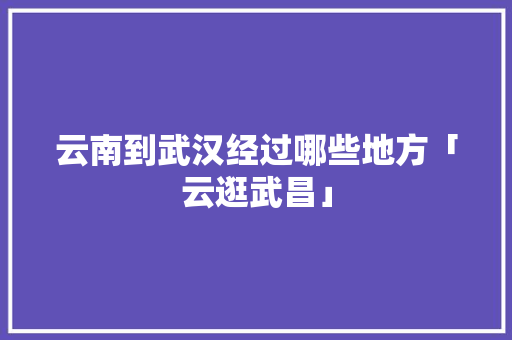 云南到武汉经过哪些地方「云逛武昌」 云南到武汉经过哪些地方「云逛武昌」 旅游攻略