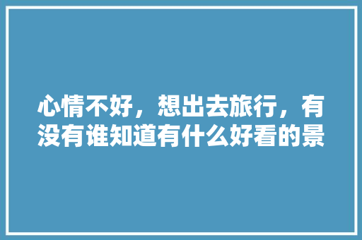 心情不好，想出去旅行，有没有谁知道有什么好看的景色「昆明鲸鲨文化传播有限公司」 心情不好，想出去旅行，有没有谁知道有什么好看的景色「昆明鲸鲨文化传播有限公司」 汽车常识
