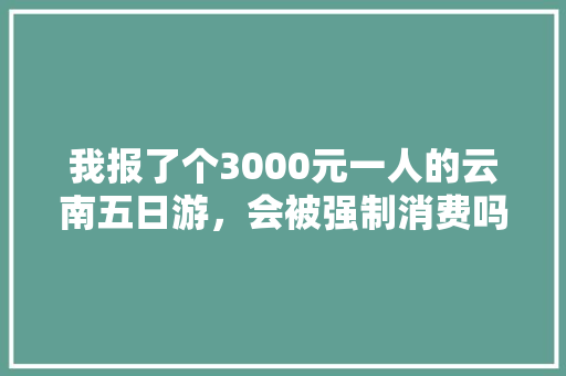 我报了个3000元一人的云南五日游，会被强制消费吗「云南旅游五日游攻略图文大全」 我报了个3000元一人的云南五日游，会被强制消费吗「云南旅游五日游攻略图文大全」 手机电脑