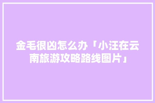 金毛很凶怎么办「小汪在云南旅游攻略路线图片」 金毛很凶怎么办「小汪在云南旅游攻略路线图片」 汽车常识