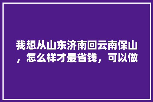 我想从山东济南回云南保山，怎么样才最省钱，可以做飞机或者汽车什么都可以「云南旅游回山东攻略图片大全」 我想从山东济南回云南保山，怎么样才最省钱，可以做飞机或者汽车什么都可以「云南旅游回山东攻略图片大全」 美食菜谱