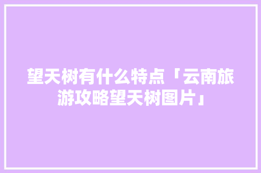 望天树有什么特点「云南旅游攻略望天树图片」 望天树有什么特点「云南旅游攻略望天树图片」 旅游攻略