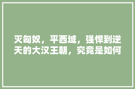 灭匈奴，平西域，强悍到逆天的大汉王朝，究竟是如何炼成的「梓潼去云南旅游景点攻略图」 灭匈奴，平西域，强悍到逆天的大汉王朝，究竟是如何炼成的「梓潼去云南旅游景点攻略图」 健康母婴