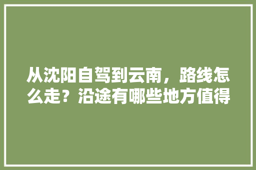 从沈阳自驾到云南，路线怎么走？沿途有哪些地方值得一看「沈阳去云南旅游攻略图片大全」 从沈阳自驾到云南，路线怎么走？沿途有哪些地方值得一看「沈阳去云南旅游攻略图片大全」 手机电脑