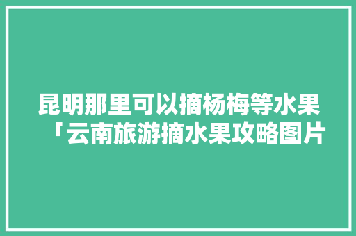 昆明那里可以摘杨梅等水果「云南旅游摘水果攻略图片」 昆明那里可以摘杨梅等水果「云南旅游摘水果攻略图片」 时尚穿搭