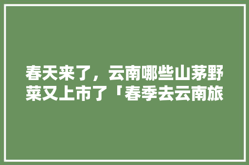 春天来了，云南哪些山茅野菜又上市了「春季去云南旅游攻略图片」 春天来了，云南哪些山茅野菜又上市了「春季去云南旅游攻略图片」 时尚穿搭