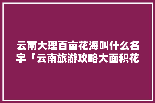 云南大理百亩花海叫什么名字「云南旅游攻略大面积花海图片」 云南大理百亩花海叫什么名字「云南旅游攻略大面积花海图片」 教育法律