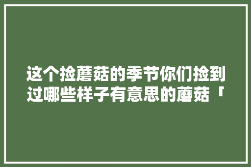 这个捡蘑菇的季节你们捡到过哪些样子有意思的蘑菇「云南捡蘑菇的视频」 这个捡蘑菇的季节你们捡到过哪些样子有意思的蘑菇「云南捡蘑菇的视频」 旅游攻略