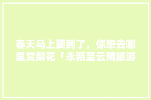 春天马上要到了，你想去哪里赏梨花「永新至云南旅游攻略路线」 春天马上要到了，你想去哪里赏梨花「永新至云南旅游攻略路线」 手机电脑