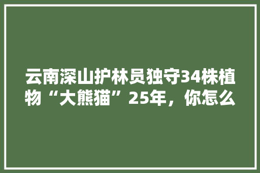 云南深山护林员独守34株植物“大熊猫”25年，你怎么看「云南旅游深山攻略图片」 云南深山护林员独守34株植物“大熊猫”25年，你怎么看「云南旅游深山攻略图片」 美食菜谱