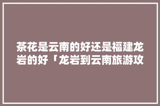 茶花是云南的好还是福建龙岩的好「龙岩到云南旅游攻略路线」 茶花是云南的好还是福建龙岩的好「龙岩到云南旅游攻略路线」 汽车常识