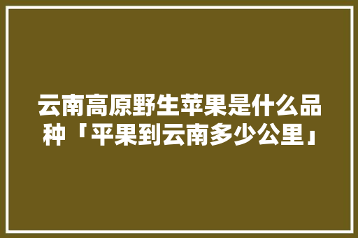 云南高原野生苹果是什么品种「平果到云南多少公里」 云南高原野生苹果是什么品种「平果到云南多少公里」 旅游攻略
