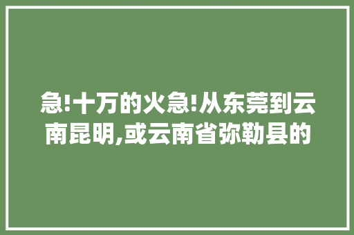 急!十万的火急!从东莞到云南昆明,或云南省弥勒县的汽车.在那里有?还有重点(云南省弥勒县的汽车)知道的快说「从东莞到云南旅游的攻略路线」 急!十万的火急!从东莞到云南昆明,或云南省弥勒县的汽车.在那里有?还有重点(云南省弥勒县的汽车)知道的快说「从东莞到云南旅游的攻略路线」 美食菜谱