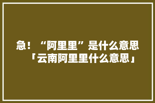 急！“阿里里”是什么意思「云南阿里里什么意思」 急！“阿里里”是什么意思「云南阿里里什么意思」 汽车常识