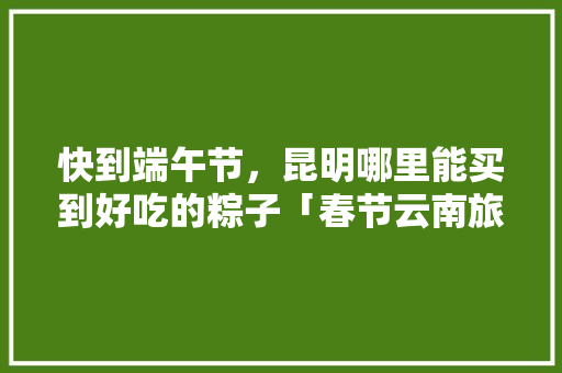 快到端午节，昆明哪里能买到好吃的粽子「春节云南旅游穿衣指南」 快到端午节，昆明哪里能买到好吃的粽子「春节云南旅游穿衣指南」 汽车常识