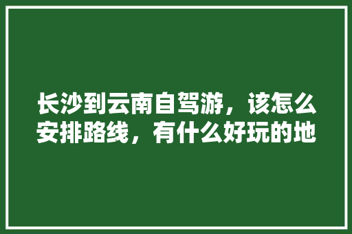 长沙到云南自驾游，该怎么安排路线，有什么好玩的地方推荐，有老人小孩「长沙云南自驾游最佳路线」 长沙到云南自驾游，该怎么安排路线，有什么好玩的地方推荐，有老人小孩「长沙云南自驾游最佳路线」 汽车常识