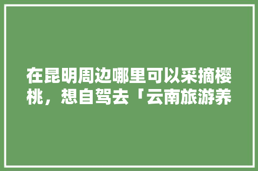 在昆明周边哪里可以采摘樱桃，想自驾去「云南旅游养眼攻略最新版」 在昆明周边哪里可以采摘樱桃，想自驾去「云南旅游养眼攻略最新版」 汽车常识