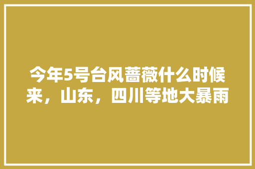 今年5号台风蔷薇什么时候来，山东，四川等地大暴雨多久停「云南 旅游 攻略」 今年5号台风蔷薇什么时候来，山东，四川等地大暴雨多久停「云南 旅游 攻略」 美食菜谱