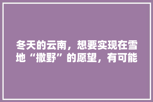 冬天的云南，想要实现在雪地“撒野”的愿望，有可能实现吗「云南旅游冬季自驾攻略路线」 冬天的云南，想要实现在雪地“撒野”的愿望，有可能实现吗「云南旅游冬季自驾攻略路线」 健康母婴