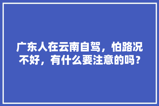 广东人在云南自驾，怕路况不好，有什么要注意的吗？会不会很危险「云南旅游自驾游攻略路况最新」 广东人在云南自驾，怕路况不好，有什么要注意的吗？会不会很危险「云南旅游自驾游攻略路况最新」 健康母婴