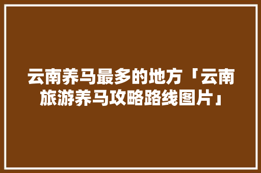 云南养马最多的地方「云南旅游养马攻略路线图片」 云南养马最多的地方「云南旅游养马攻略路线图片」 手机电脑