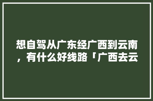 想自驾从广东经广西到云南，有什么好线路「广西去云南旅游攻略地图图片」 想自驾从广东经广西到云南，有什么好线路「广西去云南旅游攻略地图图片」 手机电脑
