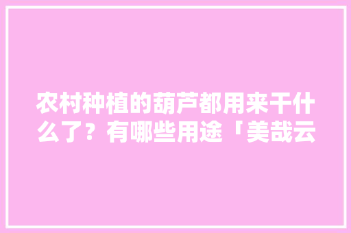 农村种植的葫芦都用来干什么了？有哪些用途「美哉云南旅游攻略视频」 农村种植的葫芦都用来干什么了？有哪些用途「美哉云南旅游攻略视频」 汽车常识