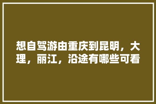 想自驾游由重庆到昆明，大理，丽江，沿途有哪些可看或可以耍的景点？要注意些什么？谢谢「重庆云南旅游线路」 想自驾游由重庆到昆明，大理，丽江，沿途有哪些可看或可以耍的景点？要注意些什么？谢谢「重庆云南旅游线路」 汽车常识