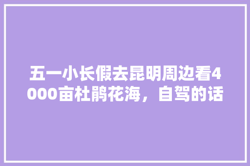五一小长假去昆明周边看4000亩杜鹃花海，自驾的话怎么去「云南旅游5天路线」 五一小长假去昆明周边看4000亩杜鹃花海，自驾的话怎么去「云南旅游5天路线」 手机电脑