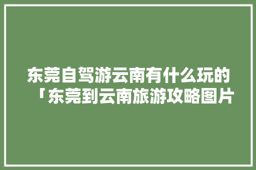 东莞自驾游云南有什么玩的「东莞到云南旅游攻略图片」 东莞自驾游云南有什么玩的「东莞到云南旅游攻略图片」 汽车常识