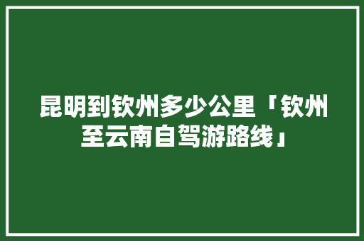 昆明到钦州多少公里「钦州至云南自驾游路线」 昆明到钦州多少公里「钦州至云南自驾游路线」 美食菜谱