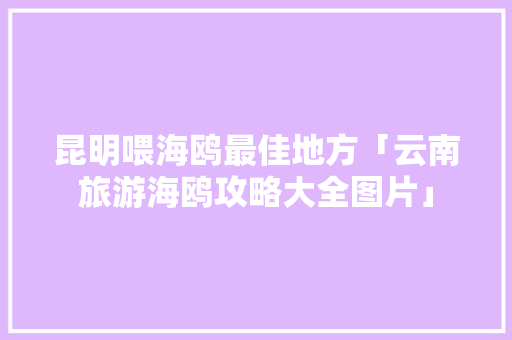 昆明喂海鸥最佳地方「云南旅游海鸥攻略大全图片」 昆明喂海鸥最佳地方「云南旅游海鸥攻略大全图片」 手机电脑