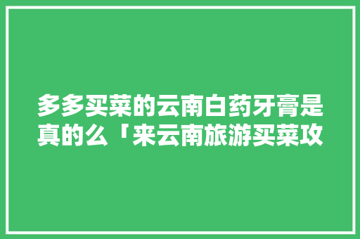 多多买菜的云南白药牙膏是真的么「来云南旅游买菜攻略图片大全」 多多买菜的云南白药牙膏是真的么「来云南旅游买菜攻略图片大全」 教育法律