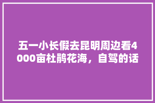 五一小长假去昆明周边看4000亩杜鹃花海，自驾的话怎么去「云南旅游攻略4月4日游玩」 五一小长假去昆明周边看4000亩杜鹃花海，自驾的话怎么去「云南旅游攻略4月4日游玩」 汽车常识