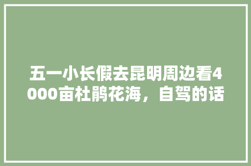 五一小长假去昆明周边看4000亩杜鹃花海，自驾的话怎么去「六月份云南旅游攻略」 五一小长假去昆明周边看4000亩杜鹃花海，自驾的话怎么去「六月份云南旅游攻略」 汽车常识