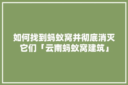 如何找到蚂蚁窝并彻底消灭它们「云南蚂蚁窝建筑」 如何找到蚂蚁窝并彻底消灭它们「云南蚂蚁窝建筑」 健康母婴