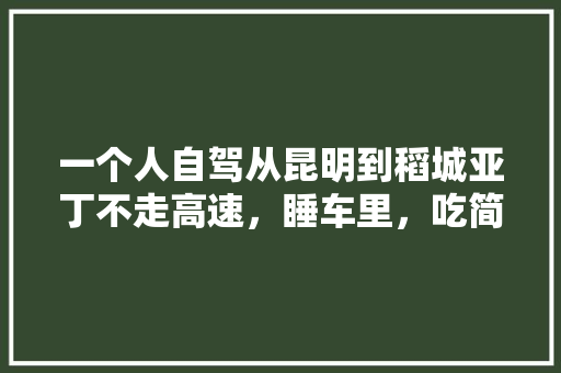 一个人自驾从昆明到稻城亚丁不走高速，睡车里，吃简单的，大概需要多少钱呢「云南旅游稻城攻略路线」 一个人自驾从昆明到稻城亚丁不走高速，睡车里，吃简单的，大概需要多少钱呢「云南旅游稻城攻略路线」 汽车常识