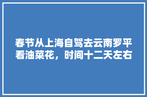 春节从上海自驾去云南罗平看油菜花，时间十二天左右，线路及沿途值得去的景点有哪些推荐「罗平出发云南旅游攻略路线」 春节从上海自驾去云南罗平看油菜花，时间十二天左右，线路及沿途值得去的景点有哪些推荐「罗平出发云南旅游攻略路线」 汽车常识