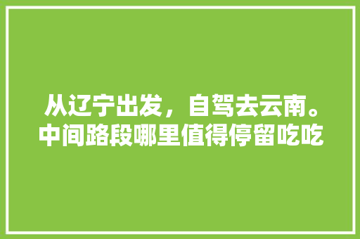 从辽宁出发，自驾去云南。中间路段哪里值得停留吃吃玩玩并观景？云南及周边如何规划「沈阳旅游到云南旅游攻略路线」 从辽宁出发，自驾去云南。中间路段哪里值得停留吃吃玩玩并观景？云南及周边如何规划「沈阳旅游到云南旅游攻略路线」 汽车常识