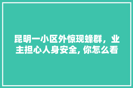 昆明一小区外惊现蜂群，业主担心人身安全, 你怎么看「云南旅游攻略蜂窝网」 昆明一小区外惊现蜂群，业主担心人身安全, 你怎么看「云南旅游攻略蜂窝网」 时尚穿搭
