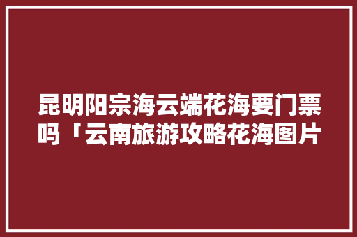 昆明阳宗海云端花海要门票吗「云南旅游攻略花海图片」 昆明阳宗海云端花海要门票吗「云南旅游攻略花海图片」 手机电脑