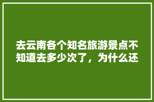 去云南各个知名旅游景点不知道去多少次了，为什么还是想去「云南旅游攻略本地人秒懂视频」 去云南各个知名旅游景点不知道去多少次了，为什么还是想去「云南旅游攻略本地人秒懂视频」 旅游攻略