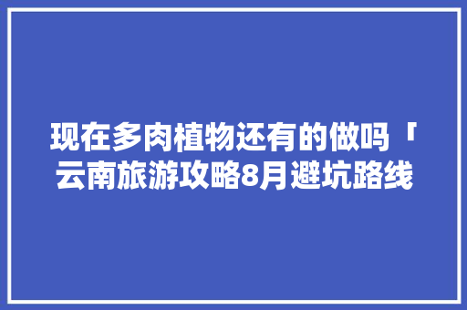 现在多肉植物还有的做吗「云南旅游攻略8月避坑路线」 现在多肉植物还有的做吗「云南旅游攻略8月避坑路线」 教育法律
