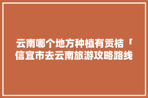 云南哪个地方种植有贡桔「信宜市去云南旅游攻略路线」 云南哪个地方种植有贡桔「信宜市去云南旅游攻略路线」 旅游攻略